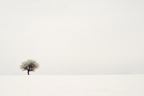 28 Clean and Minimal Photography Examples 