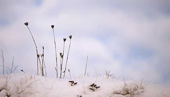 28 Clean and Minimal Photography Examples 