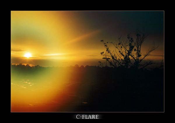 sun flare photography