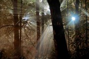 Sun flare photography