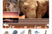 travel store websites