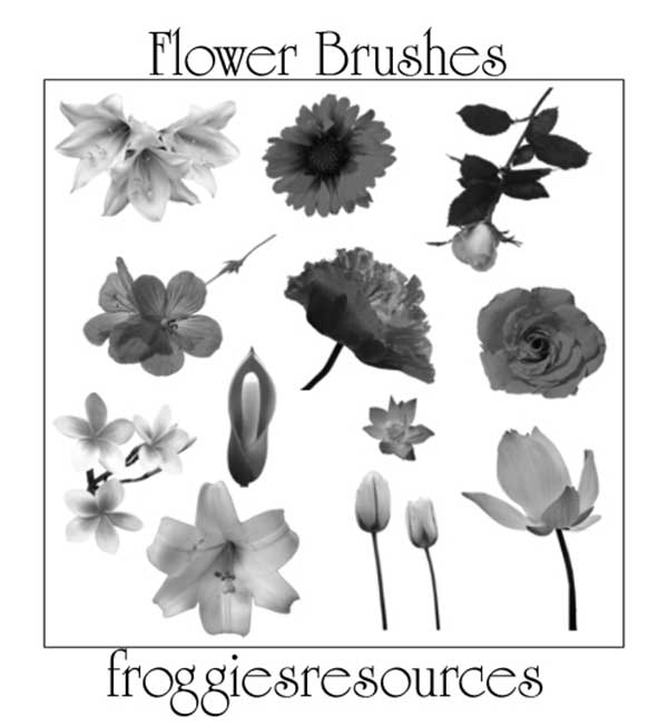 flower brushes