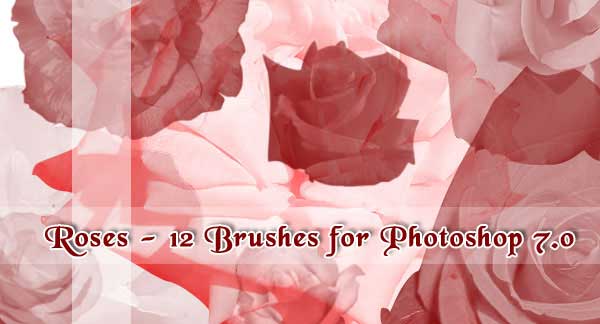 Photoshop rose brushes