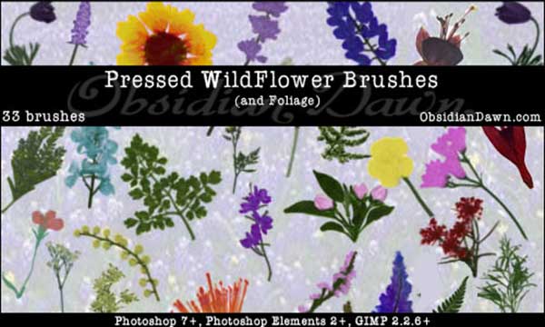 Wildflower brushes