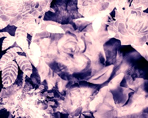 Photoshop rose brushes