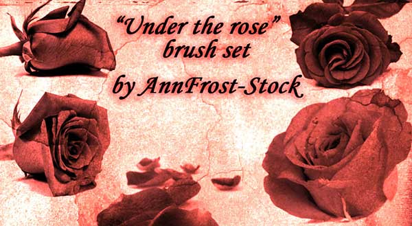 Under the rose brush set