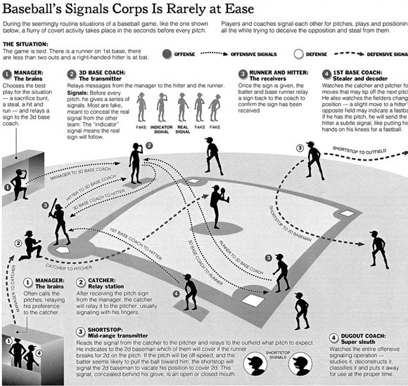 baseball infographic