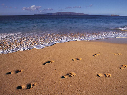 wallpaper landscape beach. Fabulous Landscape Wallpaper