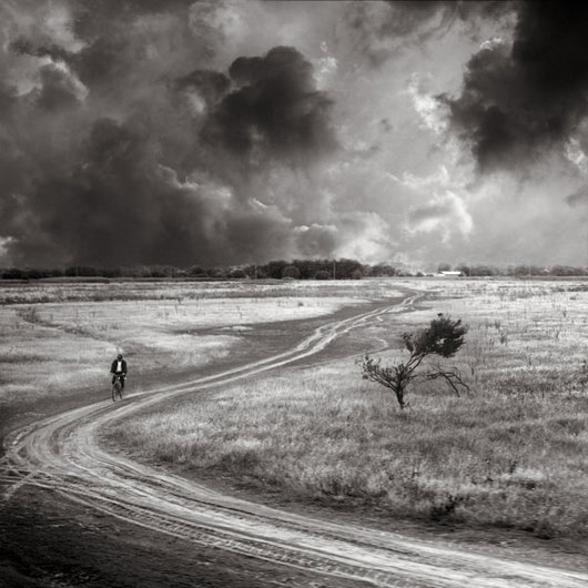 Stunning Trees and Nature Photography Inspiration Collection